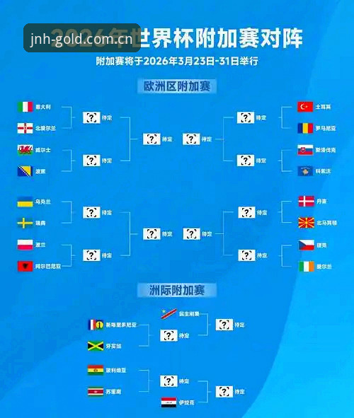 世界杯观赛受阻深度分析：地缘政治与签证政策如何影响全球球迷体验